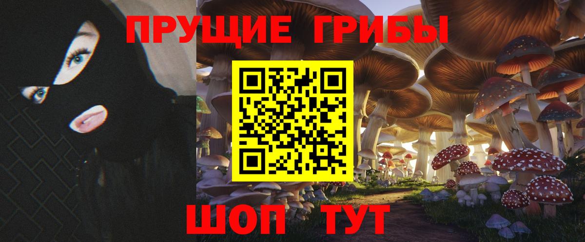 Псилоцибиновые грибы Psilocybine cubensis Рузаевка